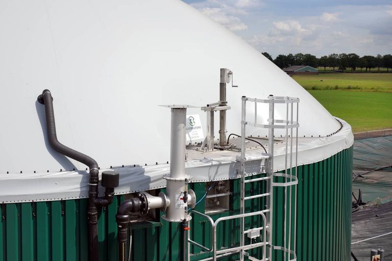 Wat zijn de struikeblokken van een mestvergister op een veebedrijf die biogas aan de glastuinbouw kan leveren? – Foto: Ruud Ploeg