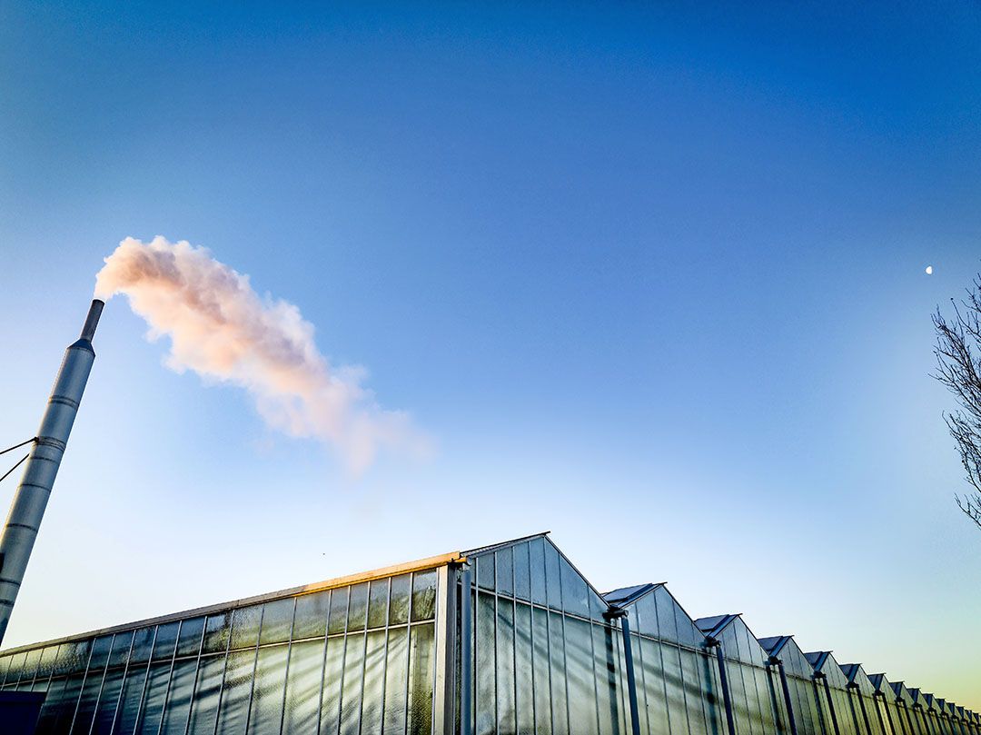 Ondanks het geraamde topinkomen pakken zich donkere wolken samen boven de glasgroenteteelt. - Foto: ANP