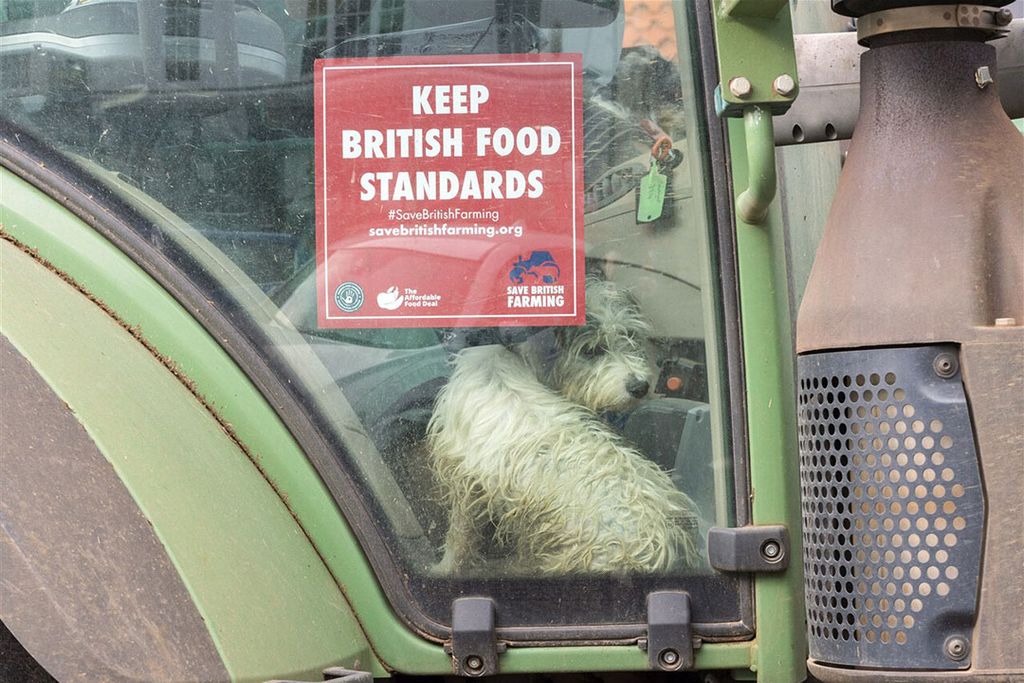 Brits boerenprotest in oktober dit jaar om eisen te stellen aan de import van voedingsmiddelen om daarmee een gelijk speelveld te hebben voor Britse boeren. - Foto: ANP