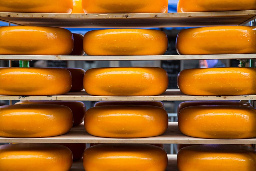 Voor Goudse kaas ziet Rabobank komende maanden kans voor een verdere prijsstijging richting de € 5.000 per ton. Foto: Canva