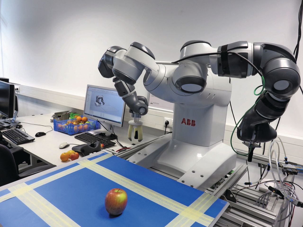 Waar nu nog veel arbeidsmigranten nodig zijn, moeten robots veel werk op de agrarische bedrijven gaan overnemen. Foto: Ton van der Scheer