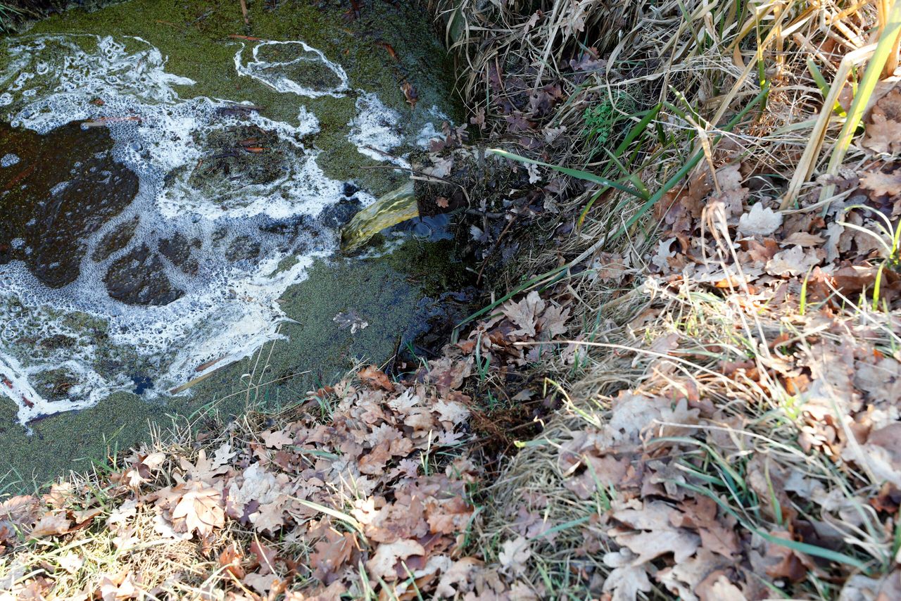 Bij peilgestuurde drainage komt het afvoerwater via een hoofddrain en put in de sloot terecht. Bij traditionele drainage gaat water direct van de drains naar de sloot. - Foto's: Bert Jansen