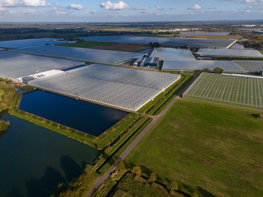 Het bijbouwen van kassen kan op andere percelen zorgen voor extensivering van glastuinbouw. Foto: Bert Jansen