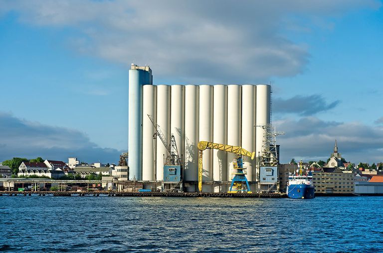 Graansilo's. Bunge verhandelde vorig jaar 47 miljoen ton grondstoffen (granen zoals mais, tarwe en gerst). - Foto: Canva