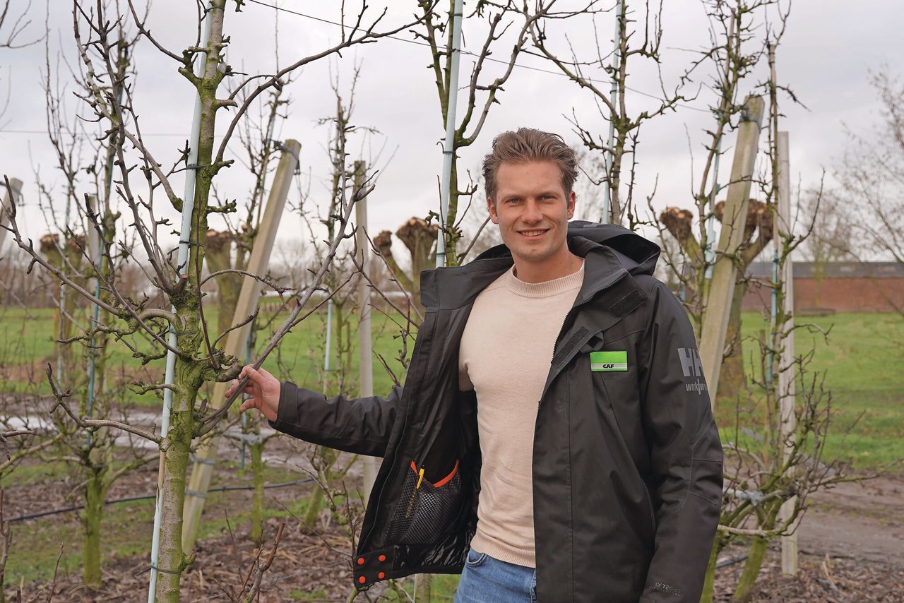 Gipmans Planten richt zich van oudsher op Duitsland - Groenten & Fruit  Actueel