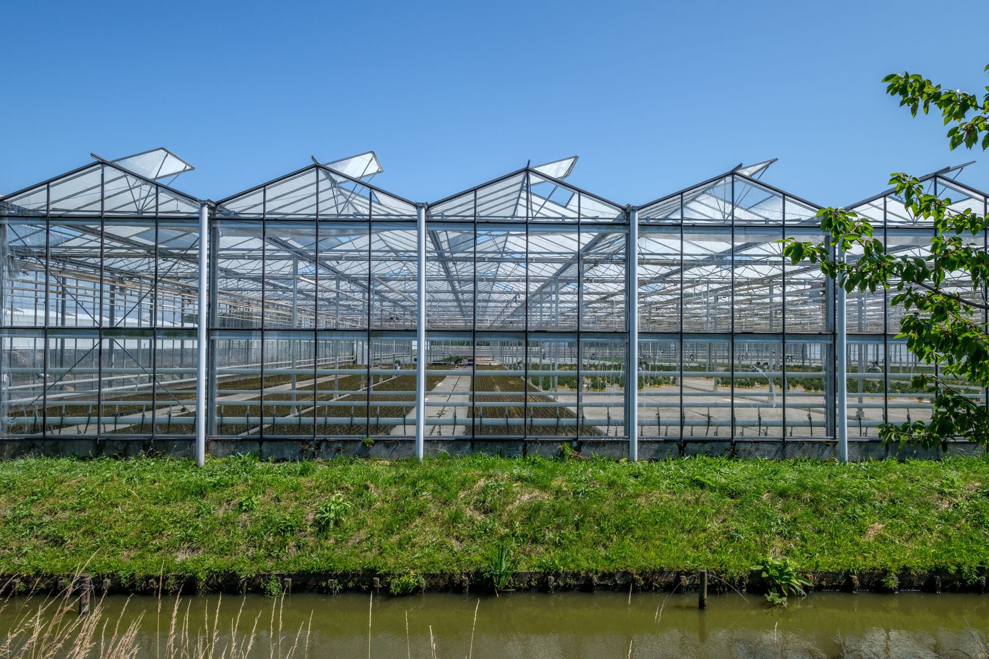 . De glastuinbouw heeft veel mogelijkheden voor flexibiliteit, bijvoorbeeld door de inzet van warmtekrachtkoppeling (wkk) en het dimmen van ledlampen, schrijft minister Hermans. Foto: Canva
