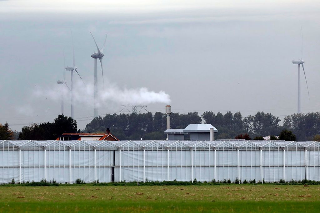Energietransitie glastuinbouw helpt luchtkwaliteit Zuid-Holland. Foto: Roel Dijkstra.