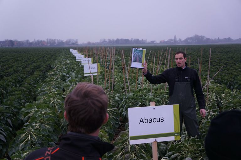 Syngenta toont spruitenrassen op gehavend demoveld