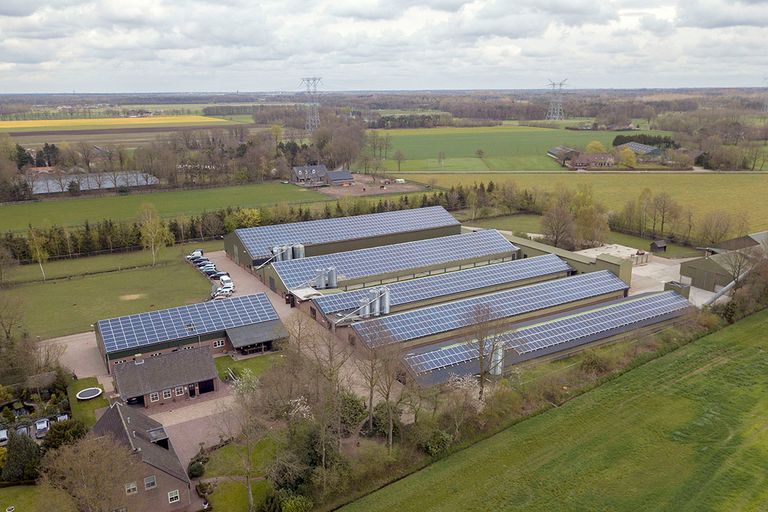 Zonne-energie-installatie bij pluimveebedrijf in Noord-Brabant. - Foto: Bert Jansen