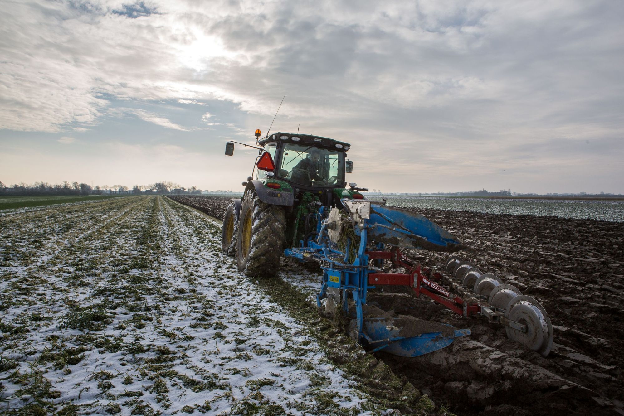 In een onderzoek wordt gekeken naar verdere vergroening en de inzet van specifieke grondbewerkingen, zoals ploegen, om de cyclus van de koolgalmug te verstoren. Foto: Peter Roek