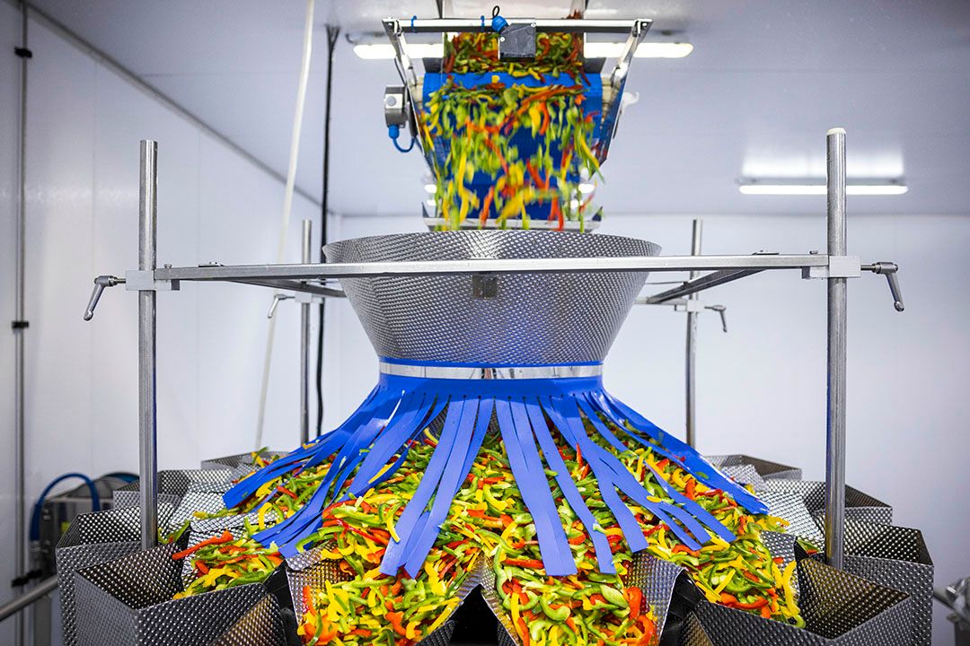 Groentensijderij. Foto: Ramon van Flymen