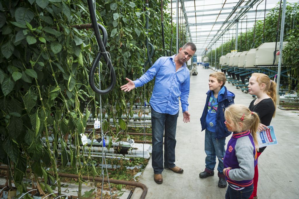 Archiefbeeld van open dag Albert Heijn bij Hartman in Sexbierum. Foto: ANP / Kees van de Veen