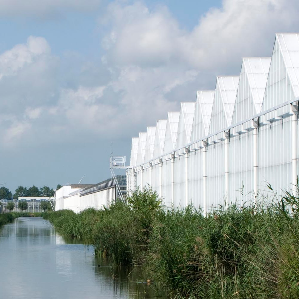 Tuinbouw en vluchtelingen