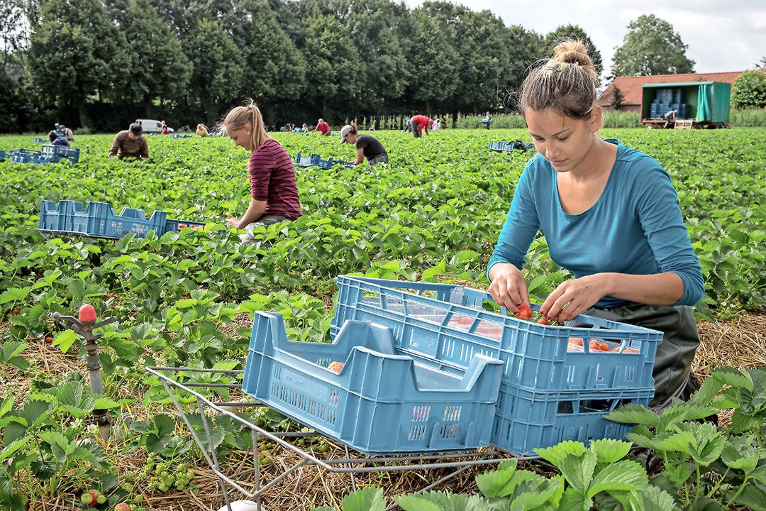 regionaal product Duitsland