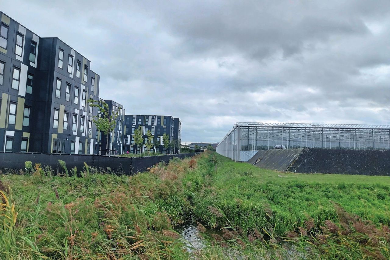 Arbeidsmigrantenhuisvesting in Bleiswijk. Foto: Ton van der Scheer