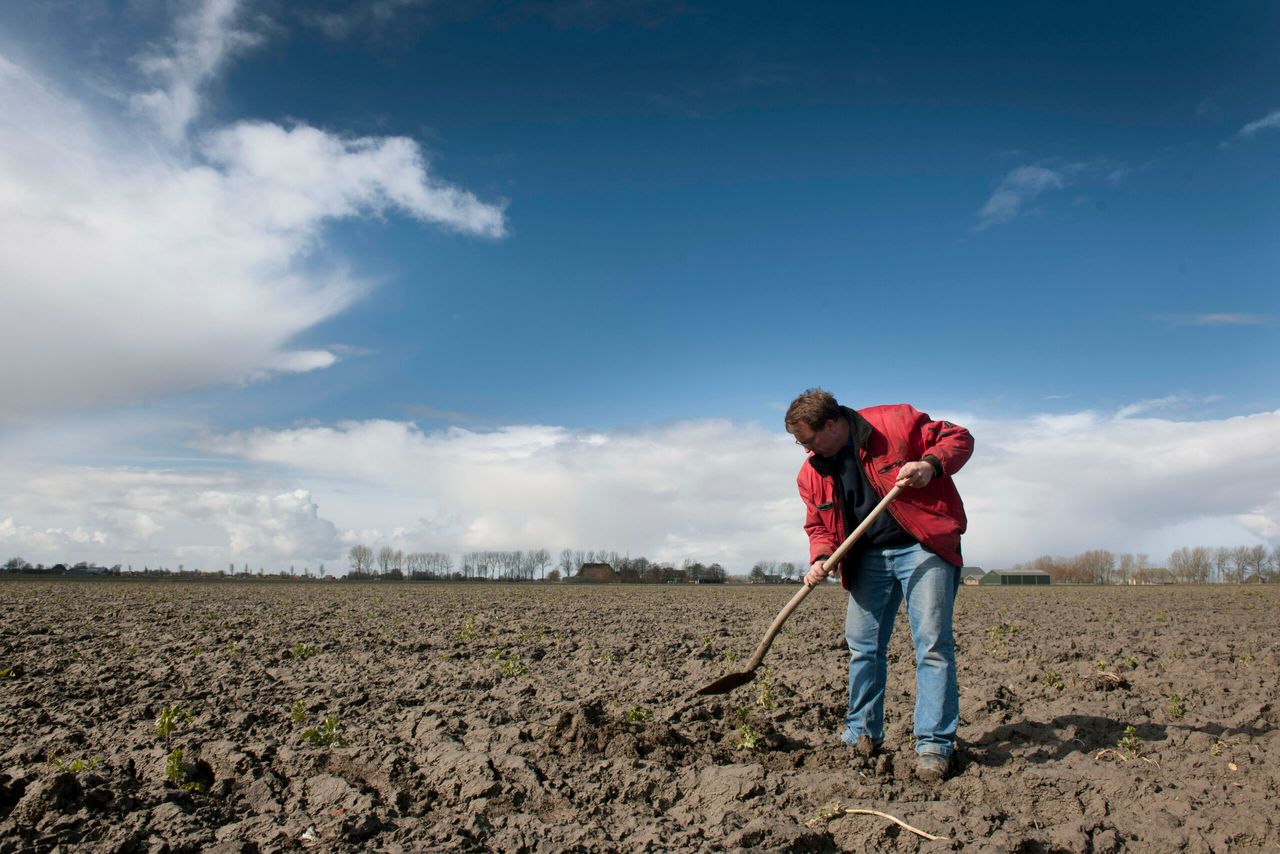 De droogte neemt dit jaar historische proporties aan. - Foto: Mark Pasveer