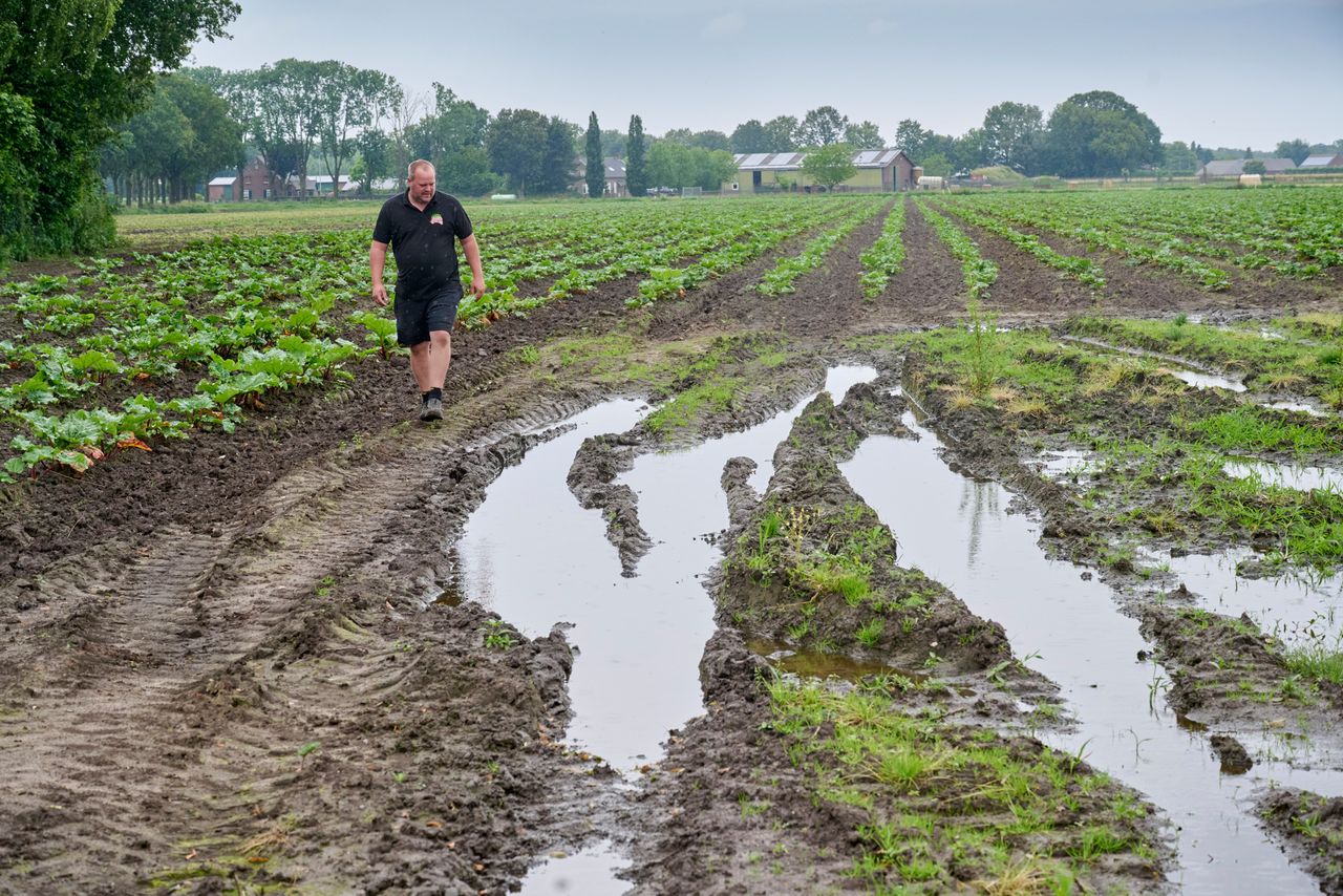 Foto: Van Assendelft Fotografie