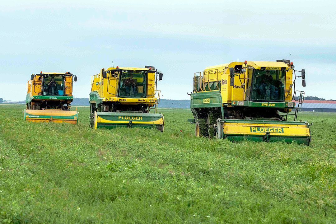 Verwerkende industrie groente en fruit lijkt voorlopig buiten afschakelplannen gas. - Foto: Koos van der Spek.