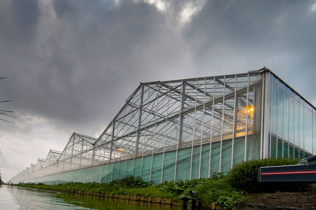 Kas in het Westland. - Foto: Roel Dijkstra/Joep van der Pal