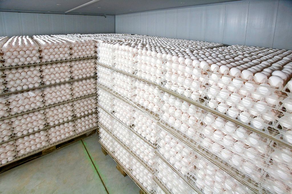 affaire eierhandel