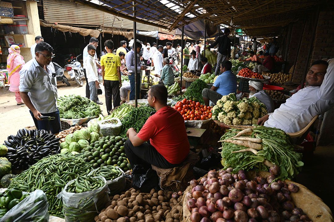 Groenteteelt in India moet stap naar midtechtechniek nog maken. Foto: ANP.