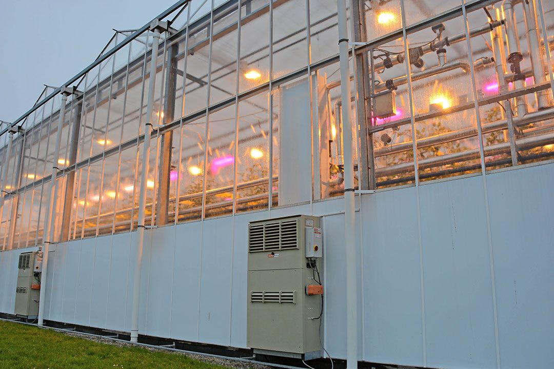 De 'Leiding door het Midden' maakt restwarmte mogelijk beschikbaar voor glastuinbouwbedrijven. - Foto: Peter Visser