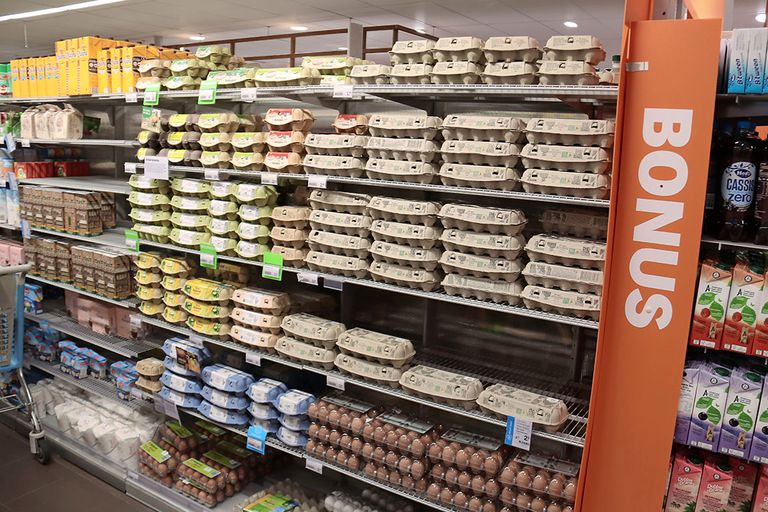 De eieren uit het Beter voor Natuur & Boer-programma liggen komend najaar in de winkels van Albert Heijn. - Foto: Hans Bijleveld