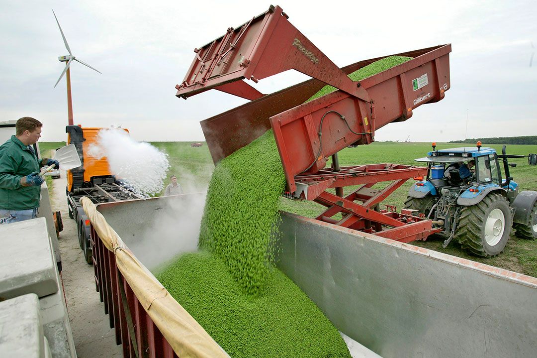 Winkelprijzen voor diepvriesgroenten lopen stevig op in België.