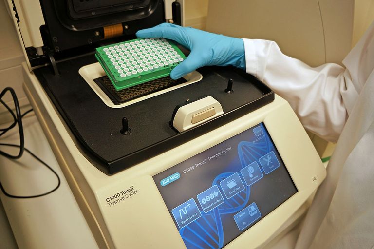 Archiefbeeld van PCR-toetsen waarbij genetisch materiaal van het virus wordt vastgesteld. Foto: Gerard Boonekamp.