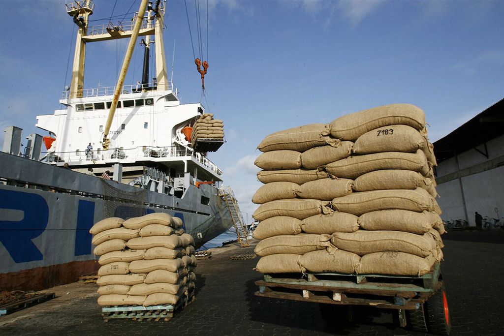 Overslag van cacaobonen. De CO2-uitstoot van de grootste foodbedrijven is vooral toegenomen in de keten van toeleveranciers. - Foto: ANP