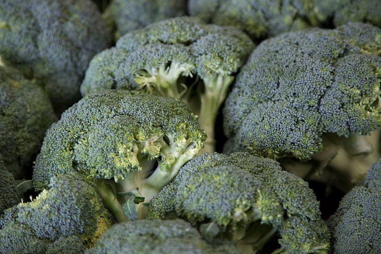Broccoli; in dat gewas ging het afgelopen zomer mis met bespuiten op één tuinderij, zo blijkt uit een op tv getoonde video. -  Foto: Jan Willem Schouten