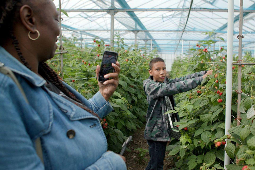 In het concept Groen Doen op Pad ligt het initiatief om kinderen te onderwijzen en te enthousiasmeren over lokaal voedsel bij kinderen zelf. - Foto: Rabobank