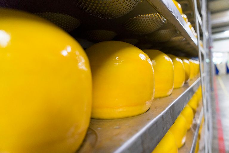 De opslag van kaas in een fabriek van FrieslandCampina. De kaasprijs zakt licht deze week. - Foto: Jan Willem van Vliet