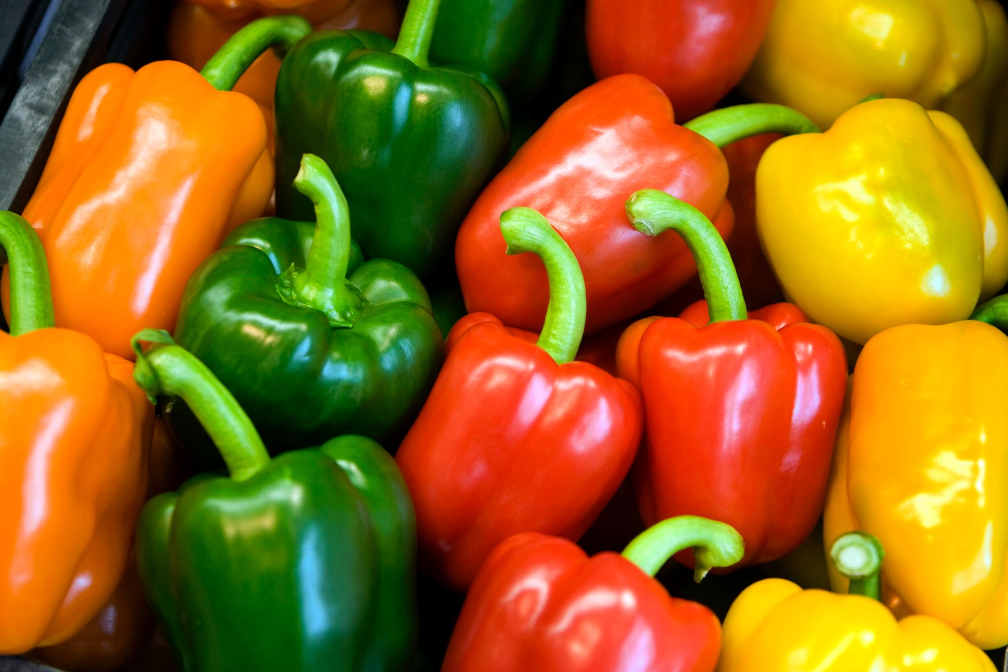 2009-04-28 14:35:42 SANTPOORT - Verschillende kleuren paprika bij groentewinkel Primeurshop Bol, voor groenten en fruit, in Santpoort. ANP XTRA KOEN SUYK