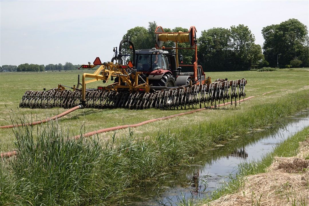 Bufferstroken kunnen volgens WUR-onderzoekers bijdragen aan vermindering van uit- en afspoeling van meststoffen. - Foto: ANP