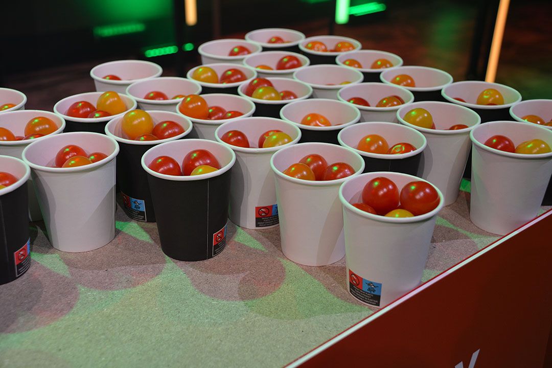 Mag men vrij kiezen, dan pakt 65% een zwart bekertje en 35% een wit bekertje met (dezelfde) tomaten. - Foto: Peter Visser