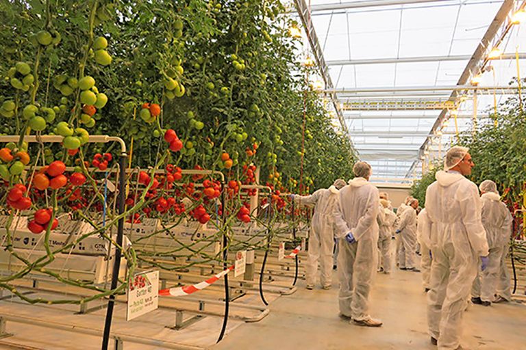 Plannen collectief plantgezondheidsfonds onzeker