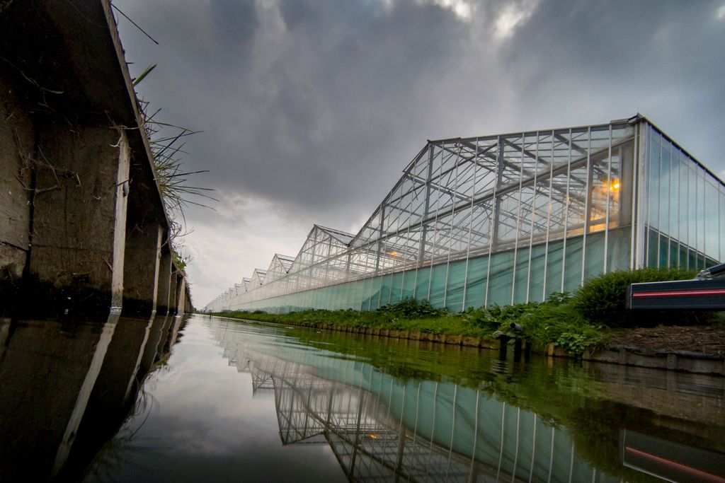 Foto: Roel Dijkstra | Joep van der Pal