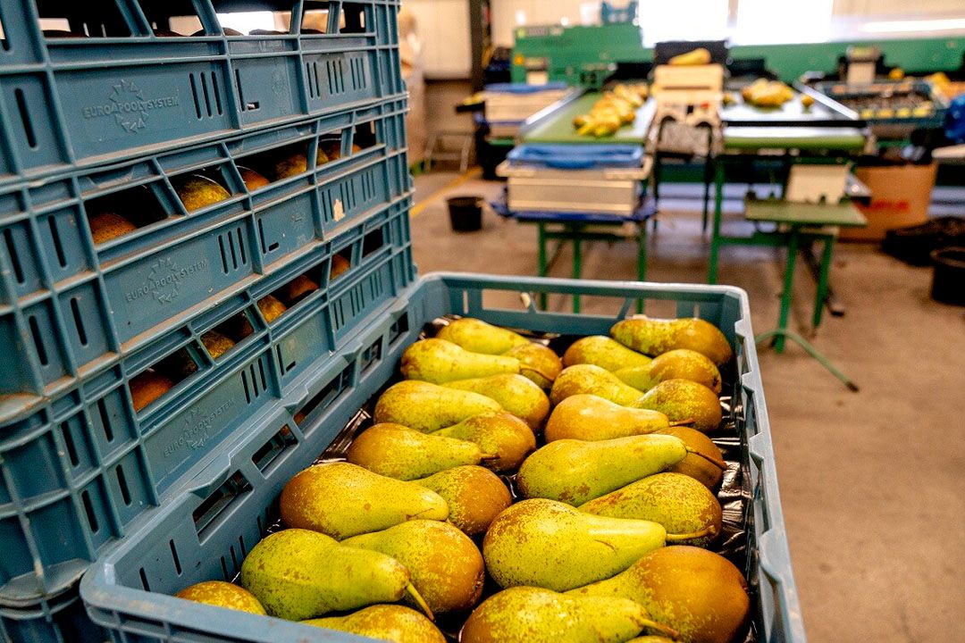 Herstel van dagmarkt Conference zorgt voor een lagere nabetaling handel. - Foto: Sander Koning / ANP / Hollandse Hoogte