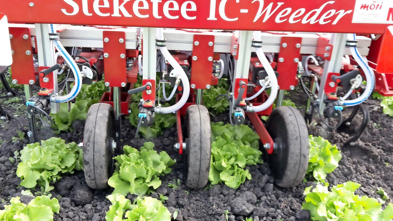 Steketee IC-Spray bespuit elke plant individueel