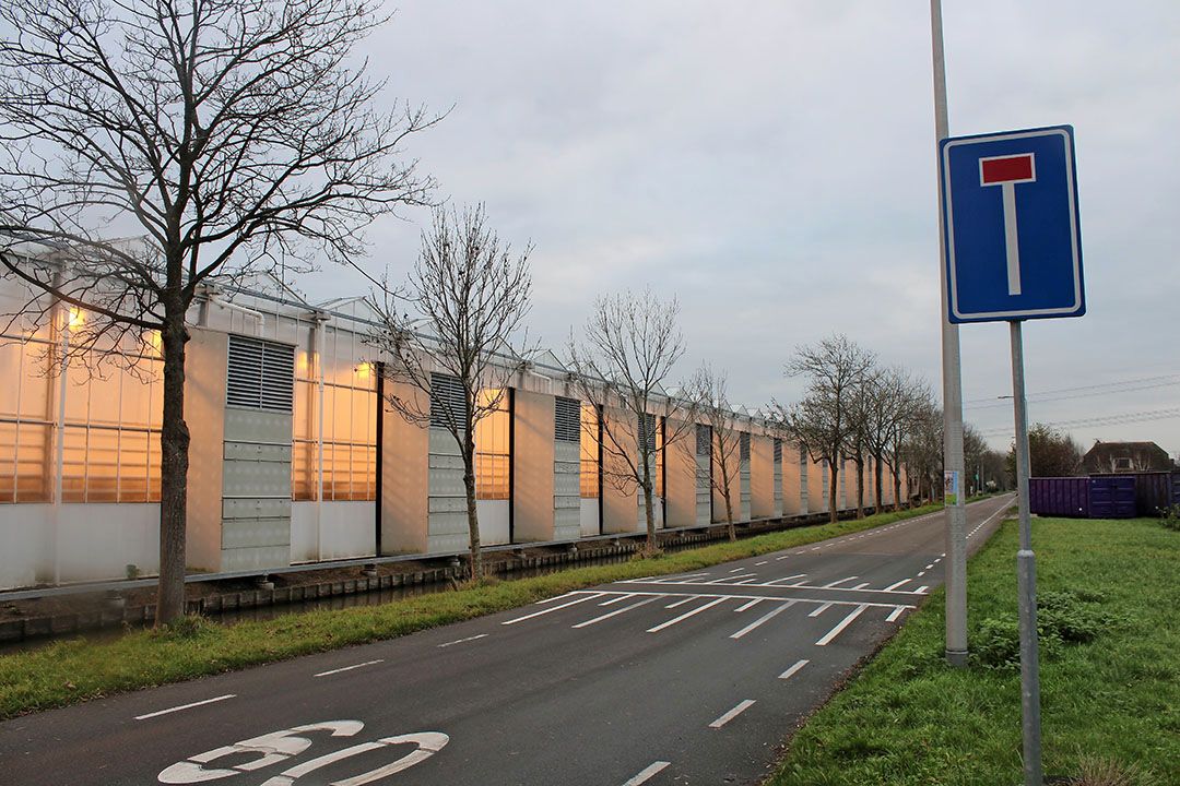 'Om te voorkomen dat in de kern gezonde glastuinbouwbedrijven failliet gaan', verlangt Glastuinbouw Nederland garanties van de overheid. - Foto: Ton van der Scheer