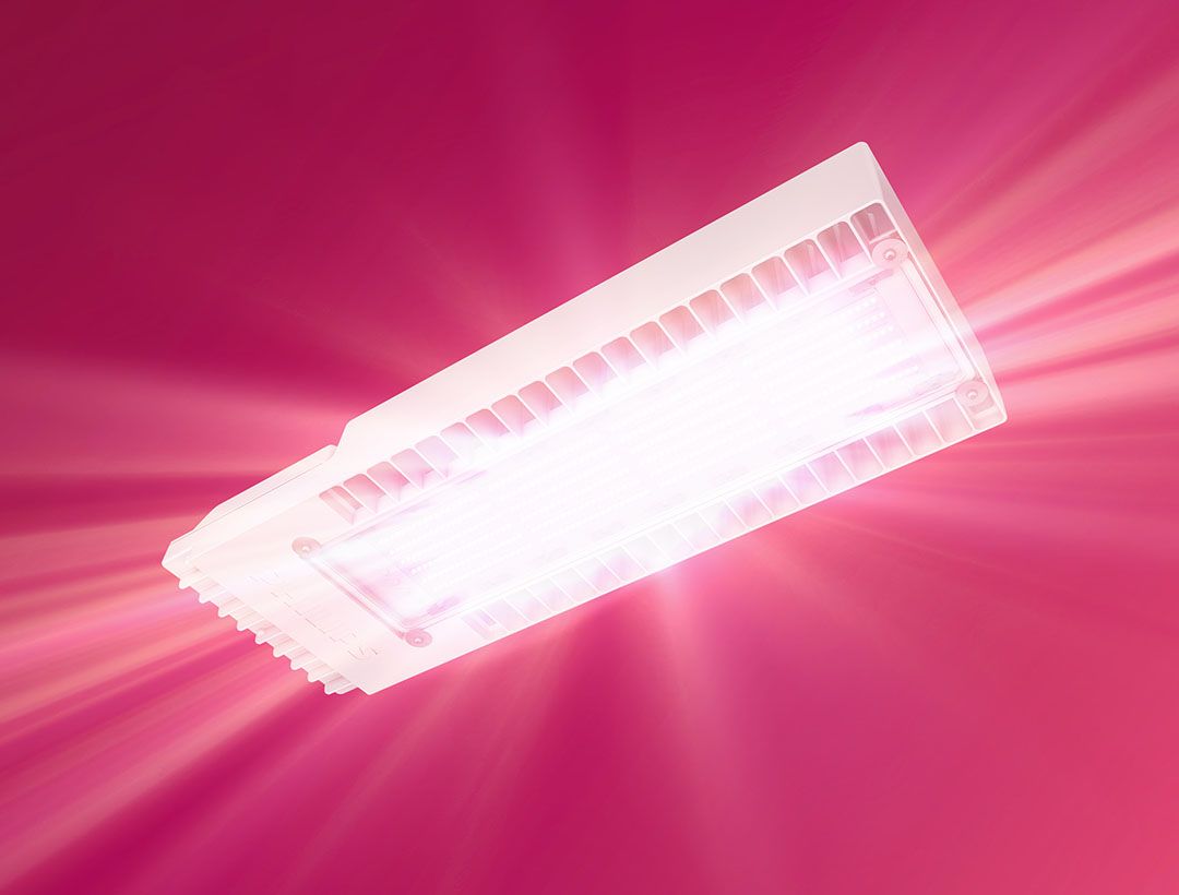 Signify introduceert nieuwe top-leds