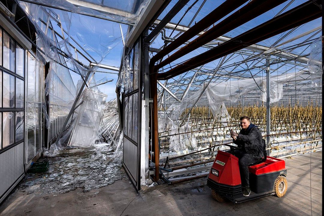 Vervolgschade tot week 21 gedekt bij Drenthe Growers. Foto: ANP