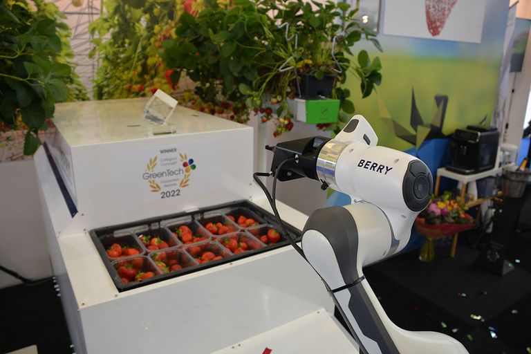 De Berry aardbei-oogstrobot is winnaar van de Greentech Concept Innovation Award. - Foto: Peter Visser