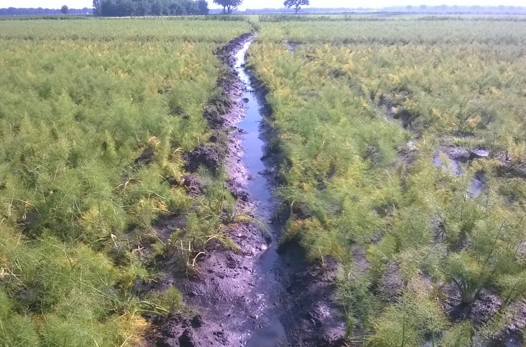 Vlaamse wateroverlast juni erkend als ramp, ijsstorm nog niet