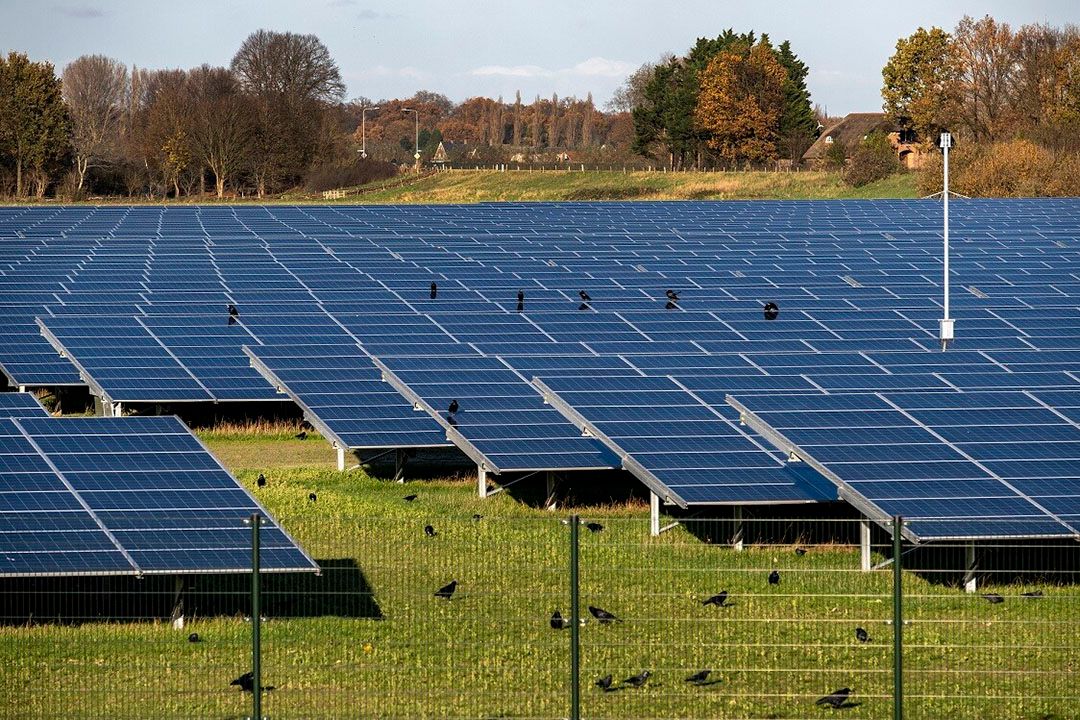 Zonneweides vormen belangrijk deel energie-opgave Horst aan de Maas. Foto: Ramon van Flymen / Hollandse-Hoogte / ANP.