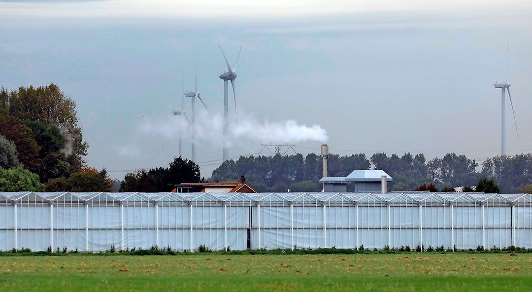 Foto: Roel Dijkstra