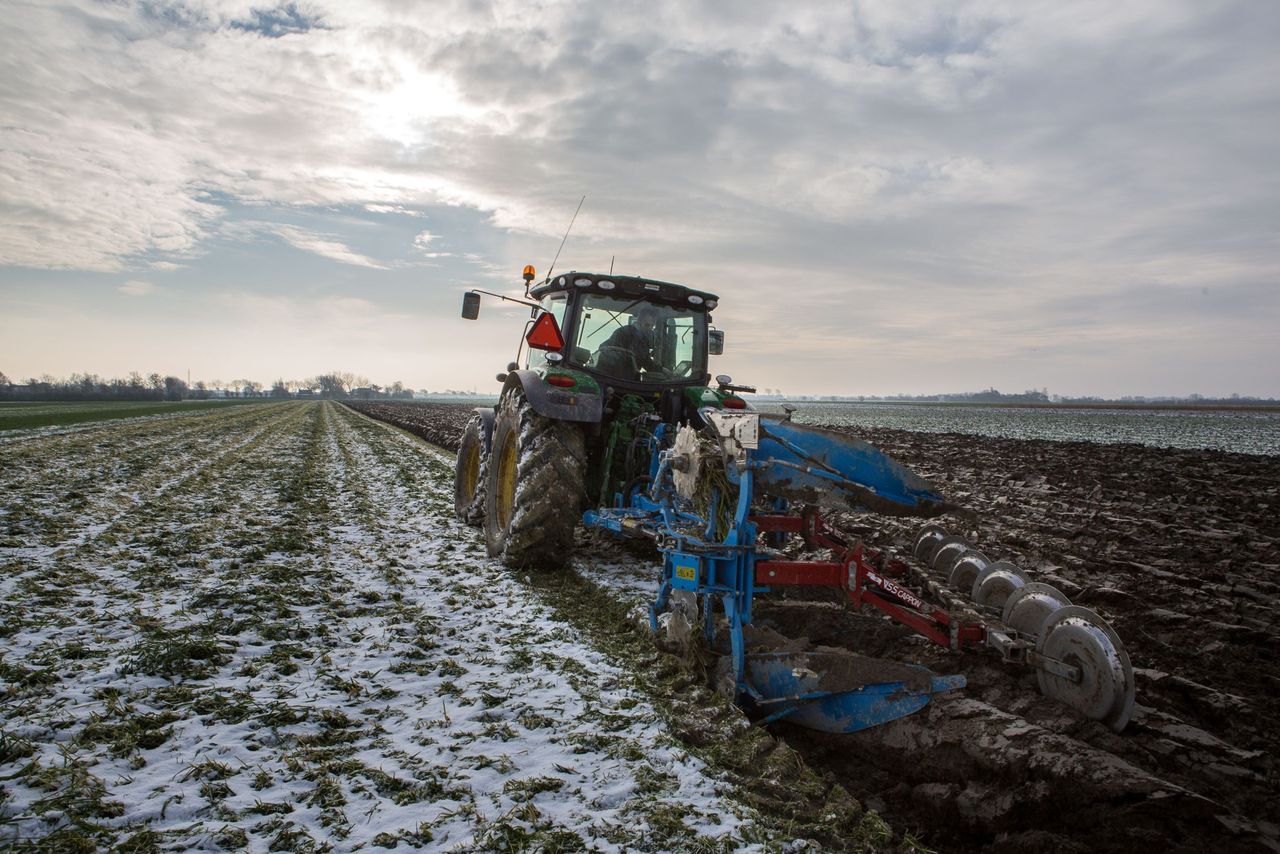 In een onderzoek wordt gekeken naar verdere vergroening en de inzet van specifieke grondbewerkingen, zoals ploegen, om de cyclus van de koolgalmug te verstoren. Foto: Peter Roek