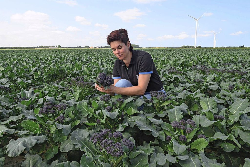 Daniëlle Bruin bekijkt de groei van de paarse broccoli die wordt gebruikt voor het concept Redi.