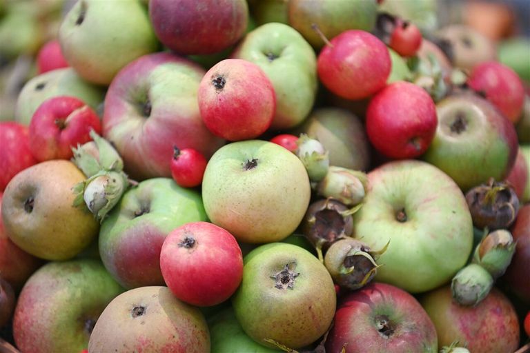 De meeste meldingen van een verontreiniging zijn vorig jaar gedaan over groenten en fruit. - Foto: ANP